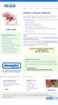 Mobile Screenshot of cleaningcentre.ru